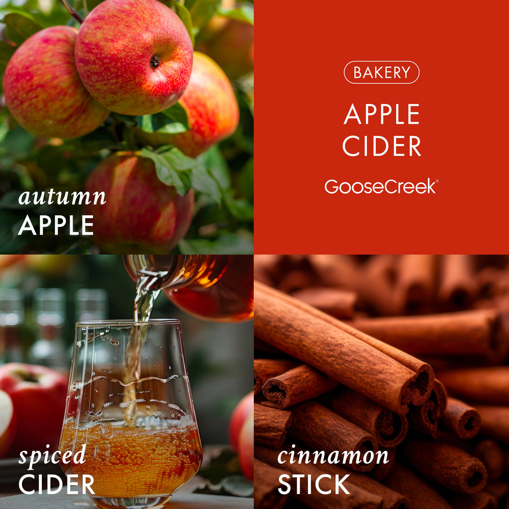 Apple Cider 3-Wick Candle