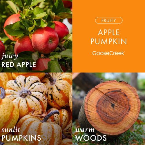 Apple Pumpkin 3-Wick Candle