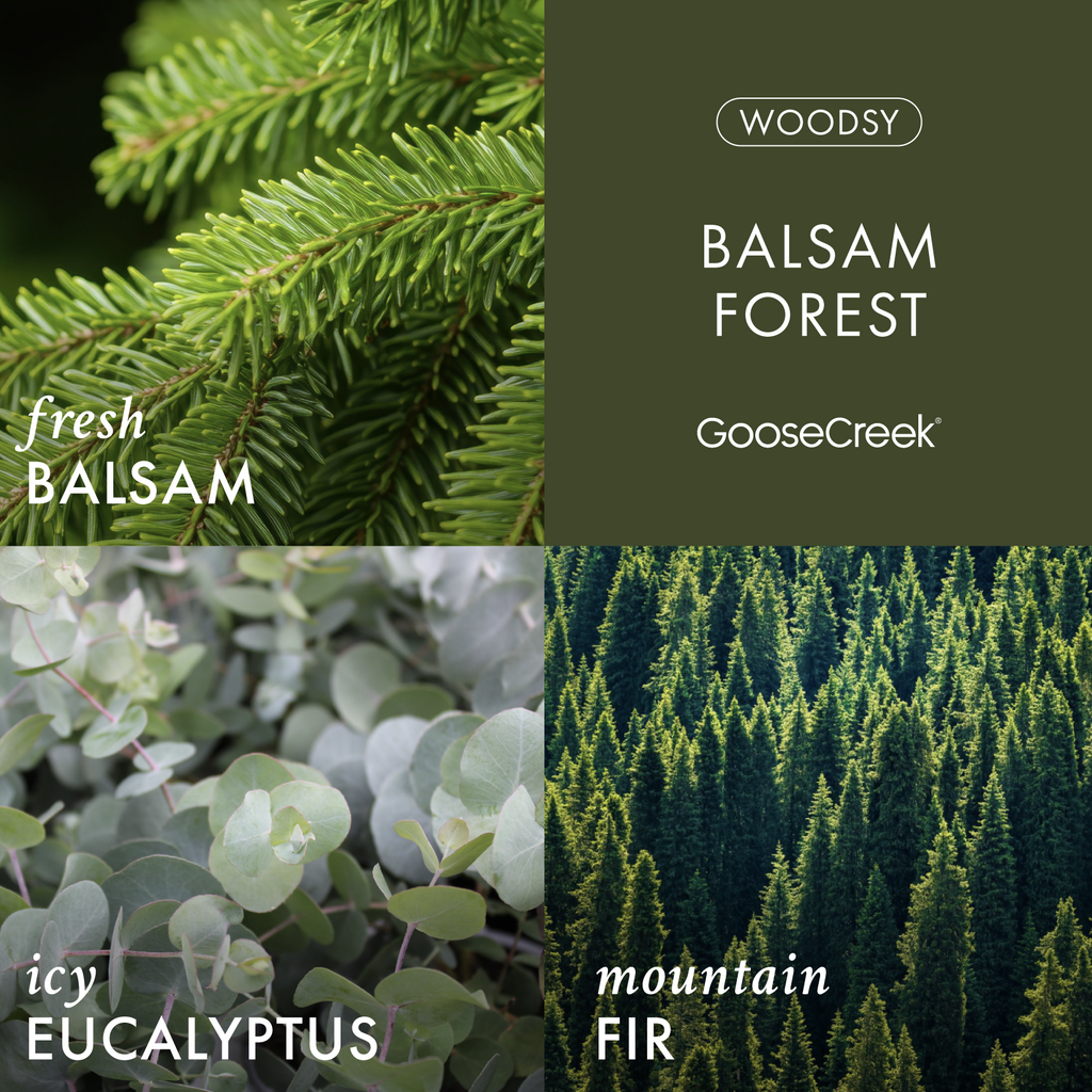 Balsam Forest High Intensity 3-Wick Candle