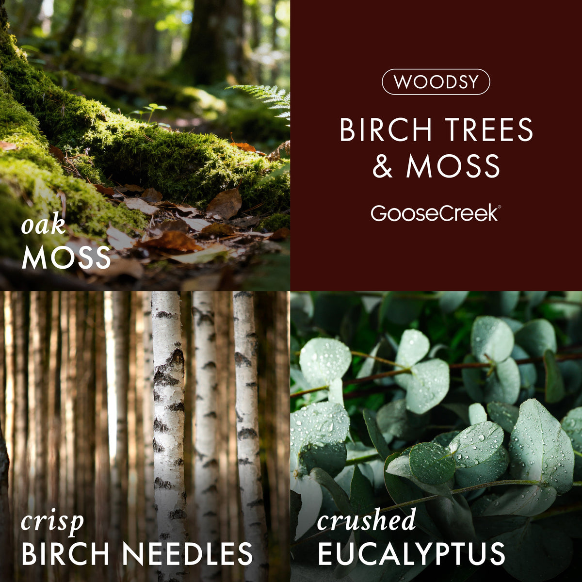 Birch Trees and Moss 3-Wick Candle