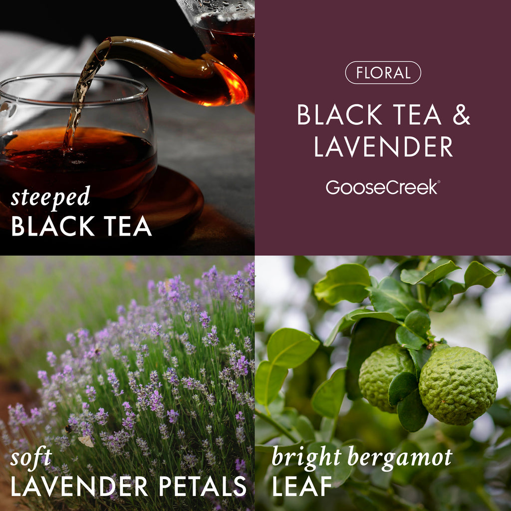 Black Tea & Lavender Aromatherapy 3-Wick Candle