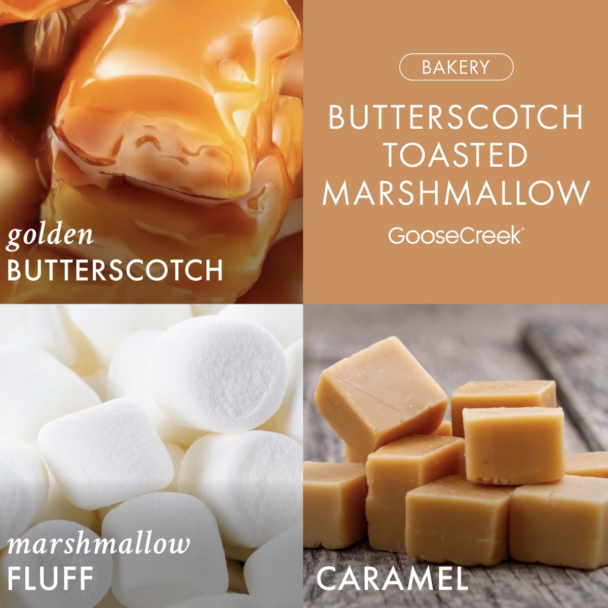 Butterscotch Toasted Marshmallow 3-Wick Candle