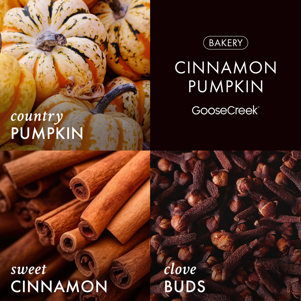 Cinnamon Pumpkin 3-Wick Candle