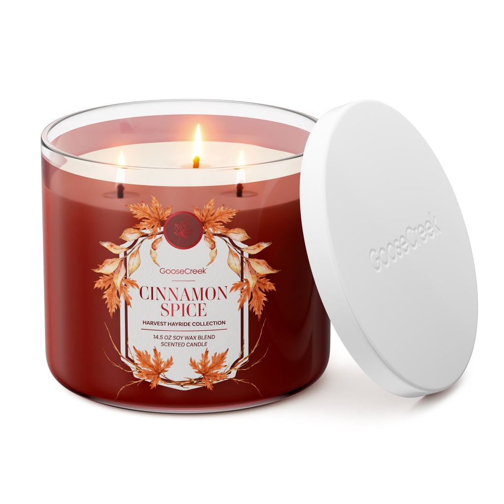 Cinnamon Spice 3-Wick Candle