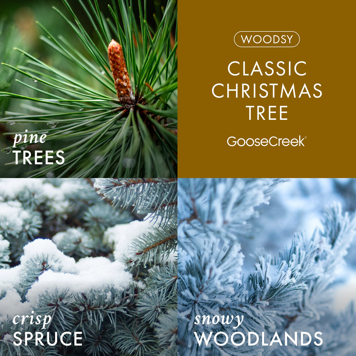 Classic Christmas Tree 3-Wick Candle