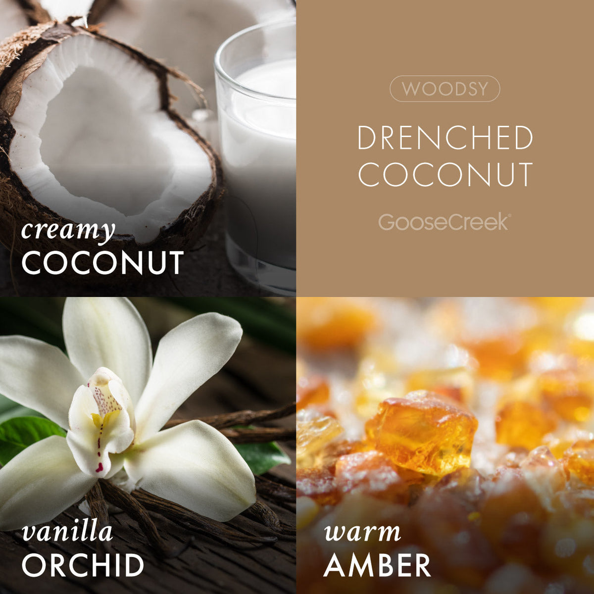 Drenched Coconut Wax Melt