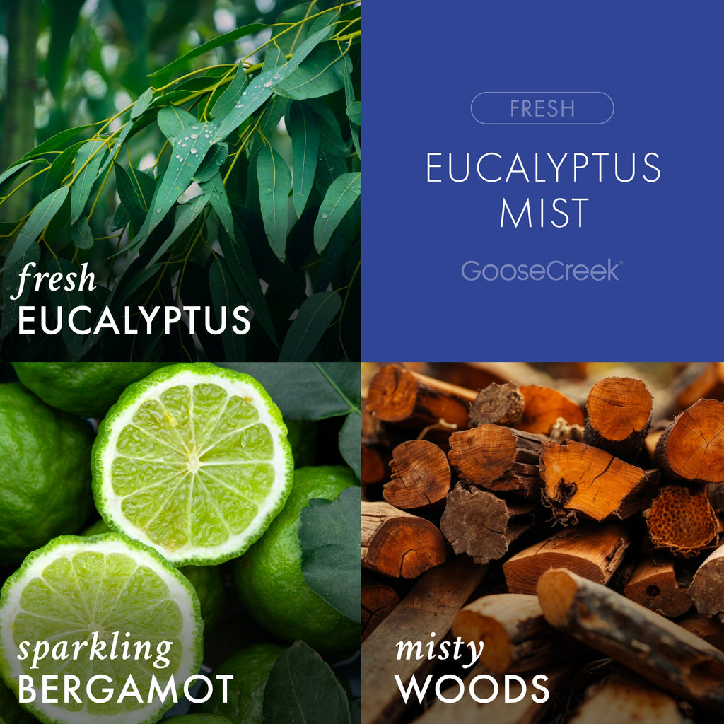 Eucalyptus Mist Odor Eliminating Room Spray