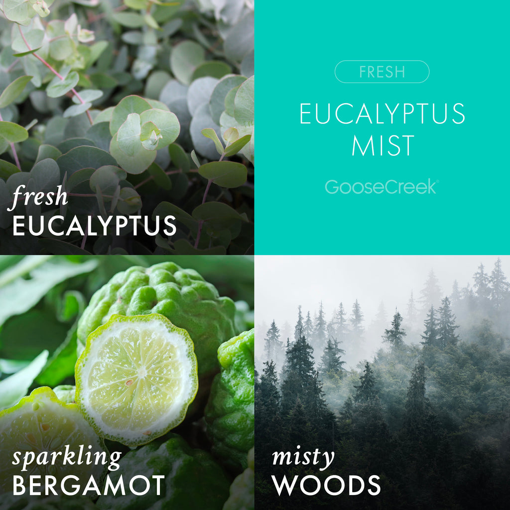 Eucalyptus Mist Wax Melt