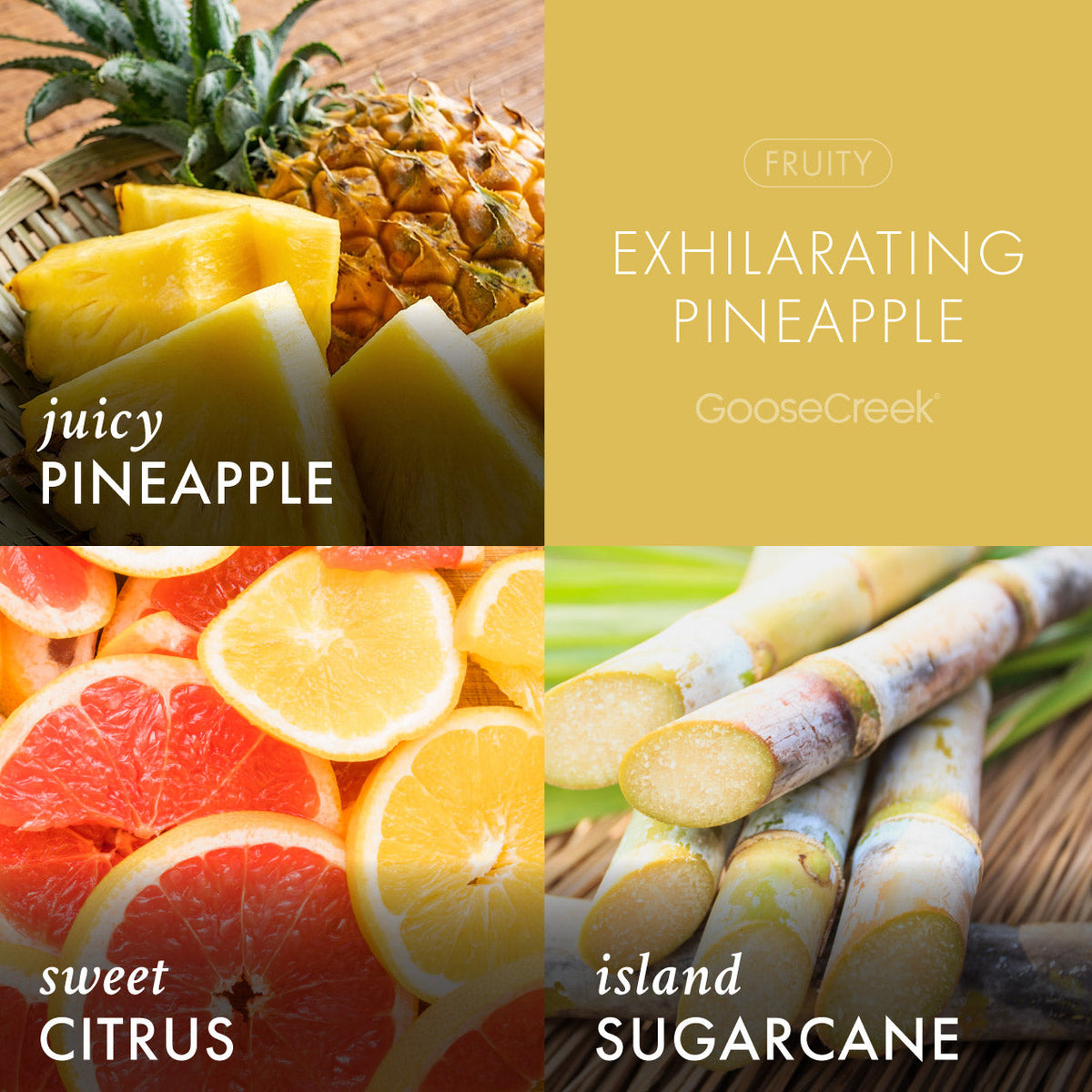 Exhilarating Pineapple Plug-in Refill