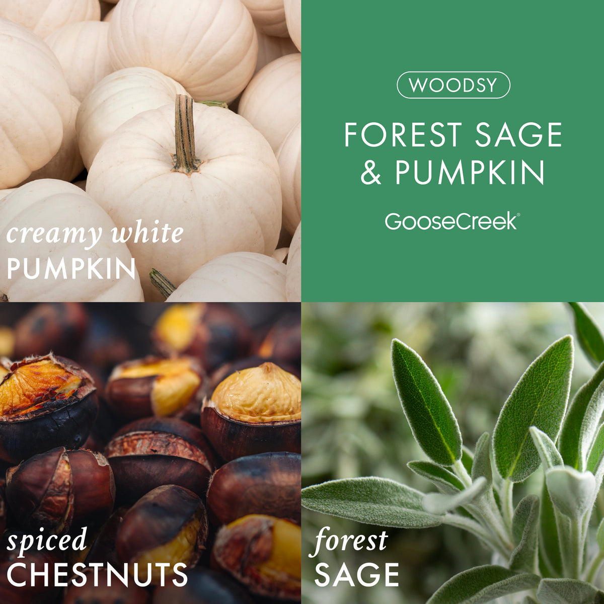 Forest Sage & Pumpkin 3-Wick Candle