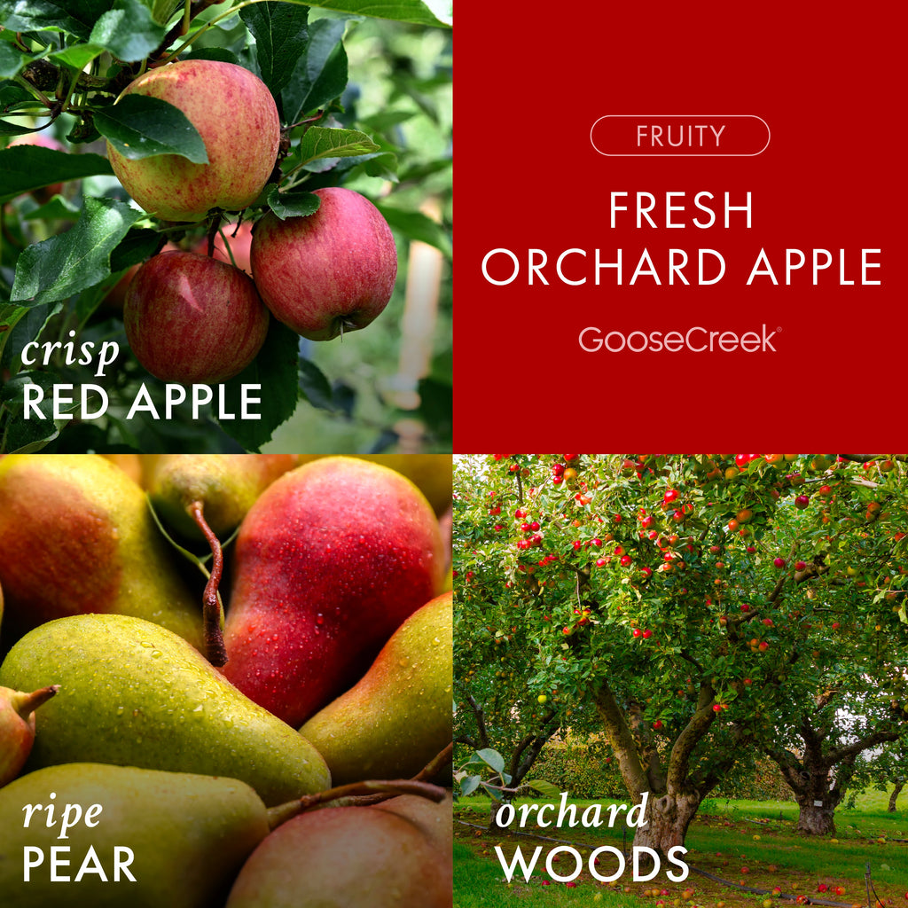 Fresh Orchard Apple Wax Melt
