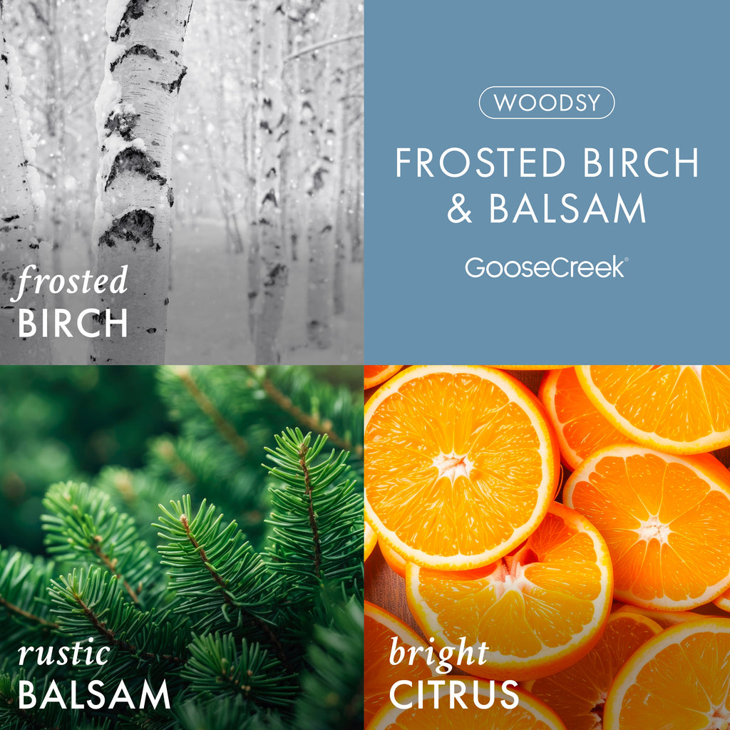 Frosted Birch & Balsam 3-Wick Candle
