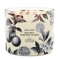 Golden Harvest Citrus 3-Wick Candle