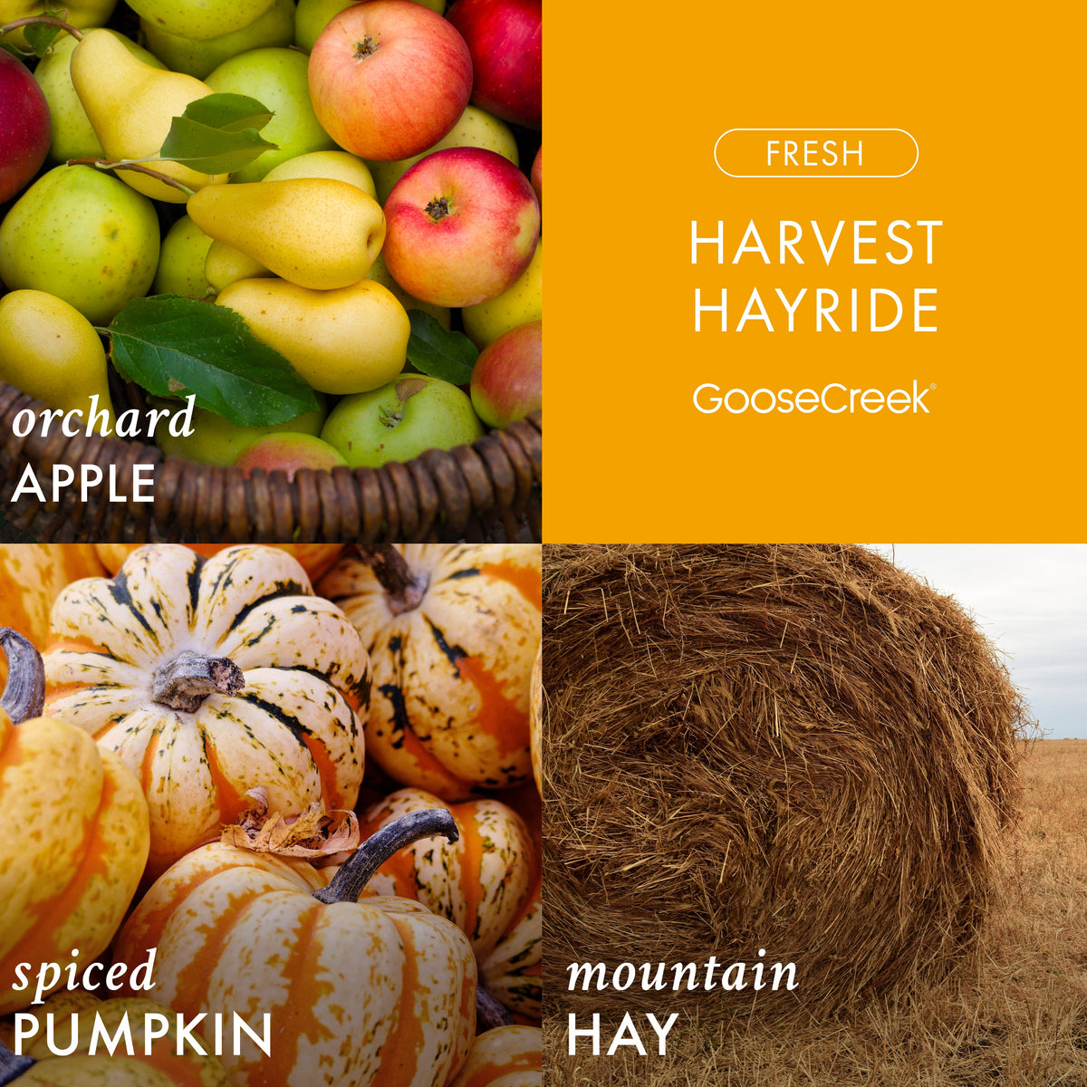Harvest Hayride Wax Melt