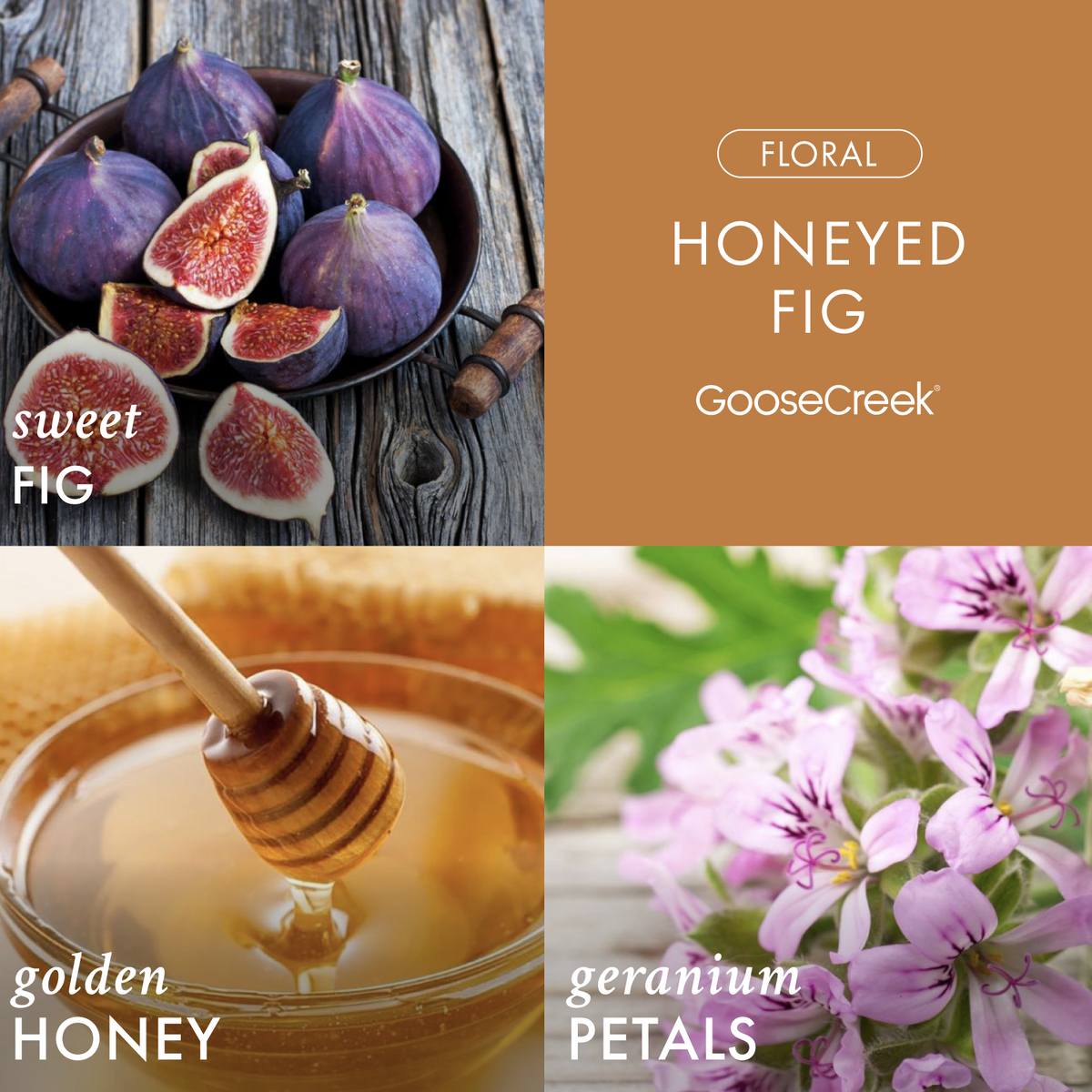 Honeyed Fig 3-Wick Candle