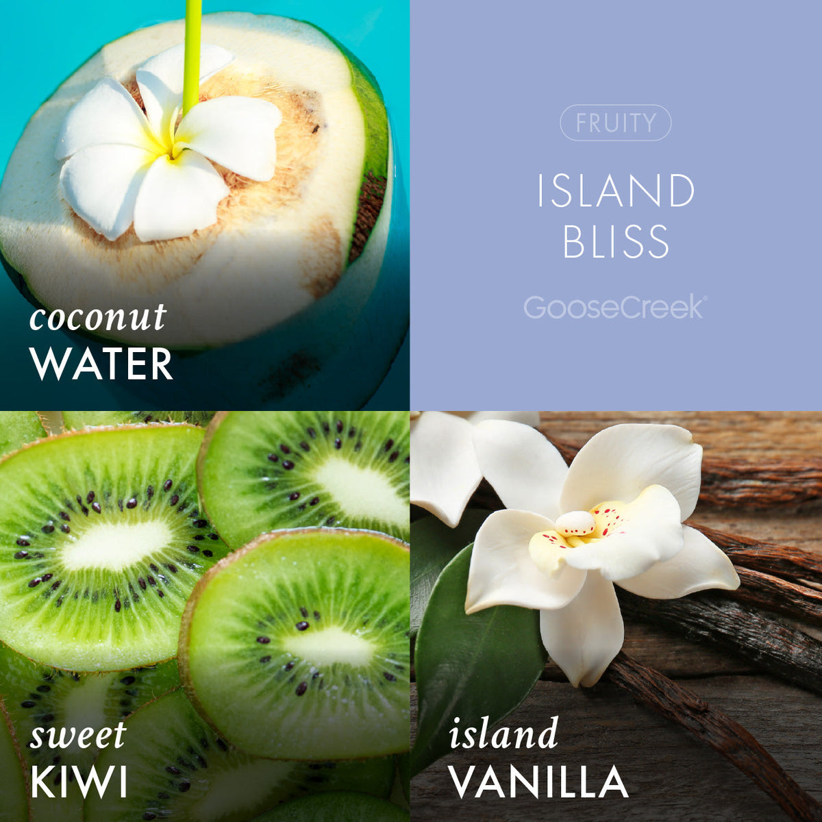 Island Bliss - Scented Plug-in Refill