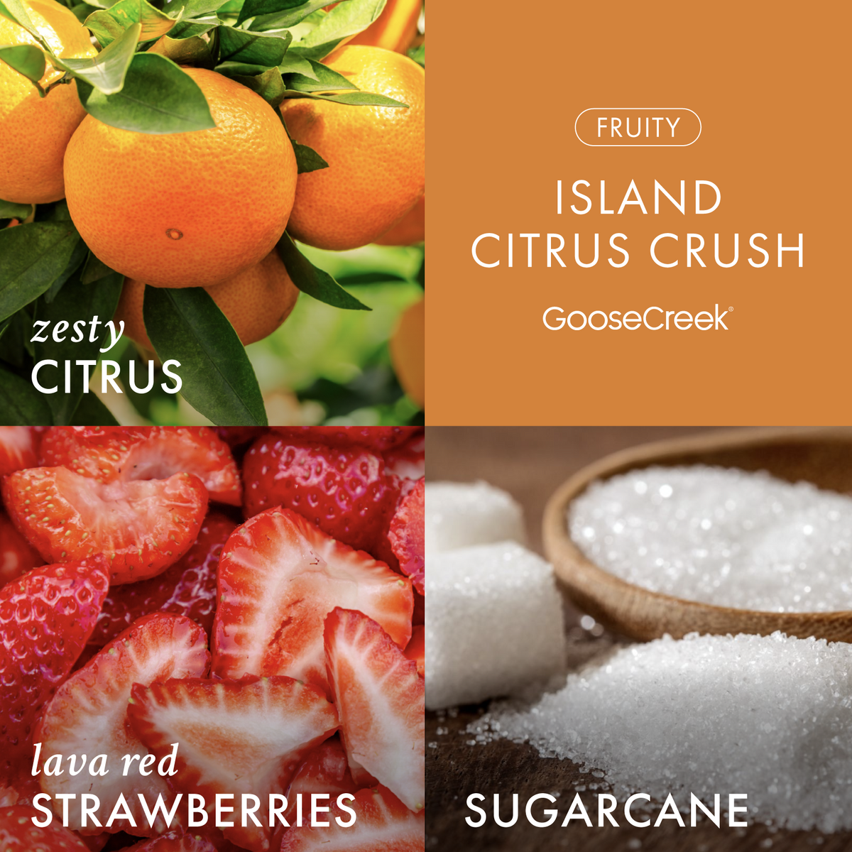 Island Citrus Crush High Intensity 4-Wick 26oz Candle