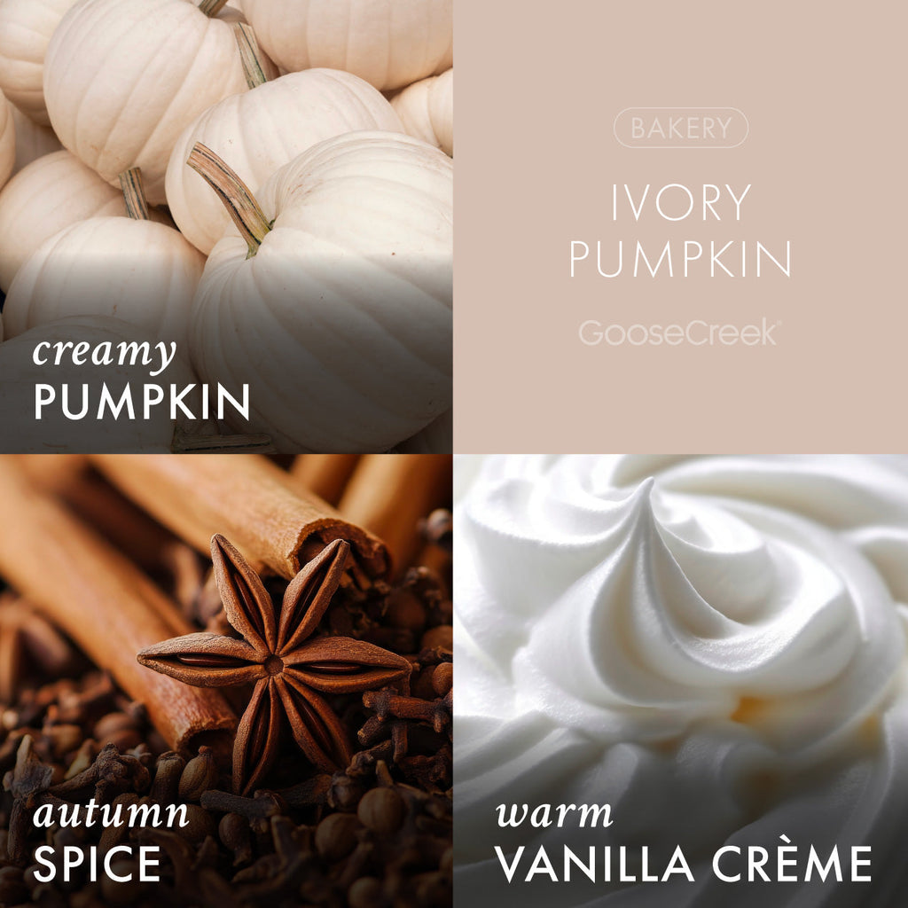 Ivory Pumpkin Plug-in Refill