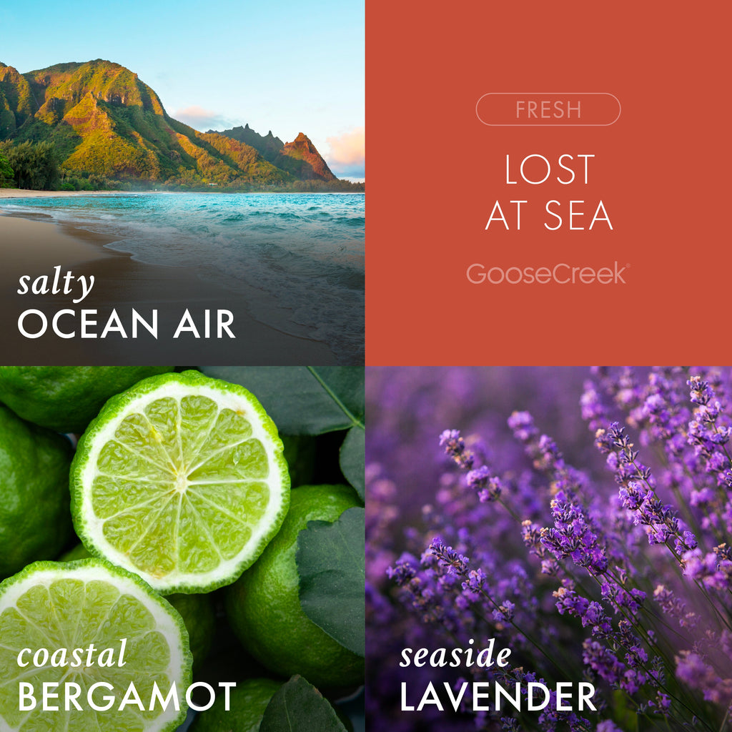 Lost at Sea Odor Eliminating 3-Wick Candle