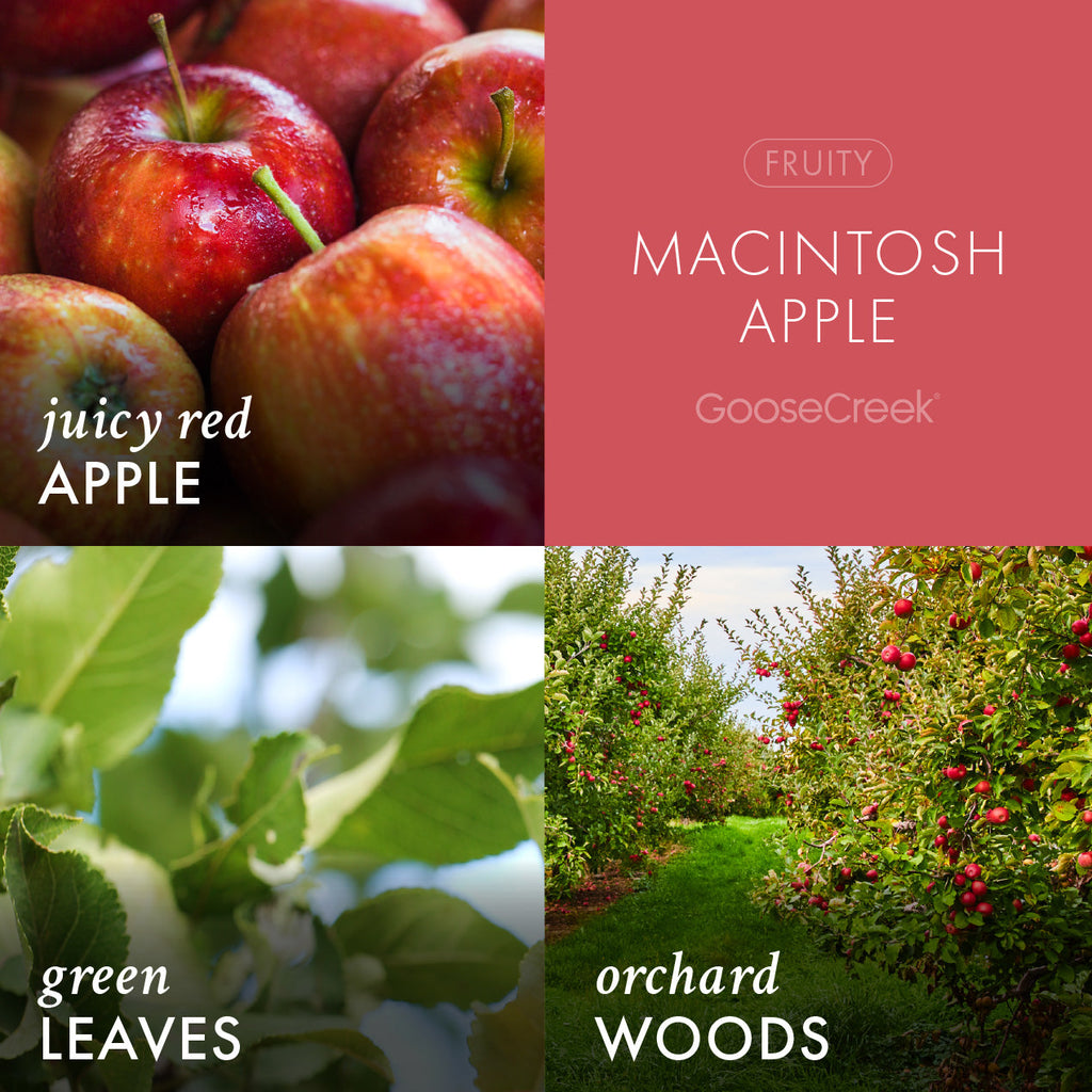 Macintosh Apple Plug-in Refill