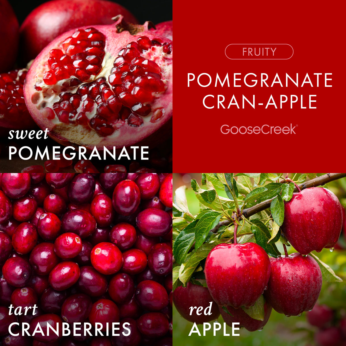Pomegranate Cran-Apple Wax Melt