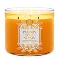 Pumpkin Spice Season 3-Wick Candle