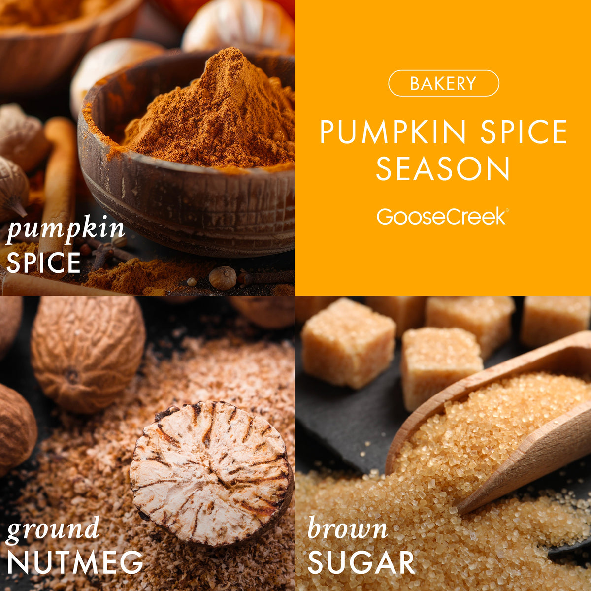 Pumpkin Spice Season Wax Melt