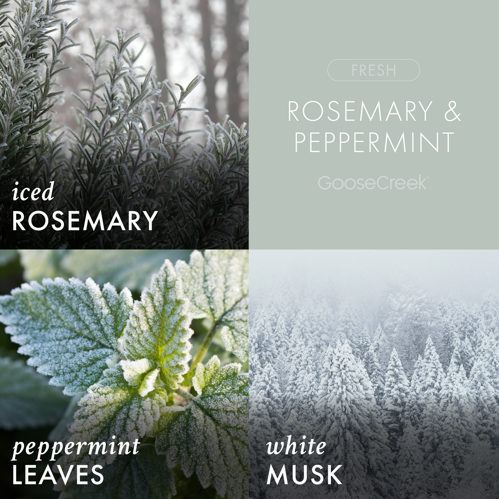 Rosemary & Peppermint Aromatherapy 3-Wick Candle