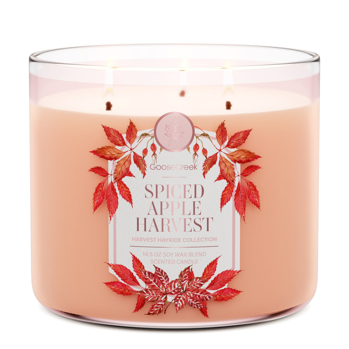 Spiced Apple Harvest 3-Wick Candle