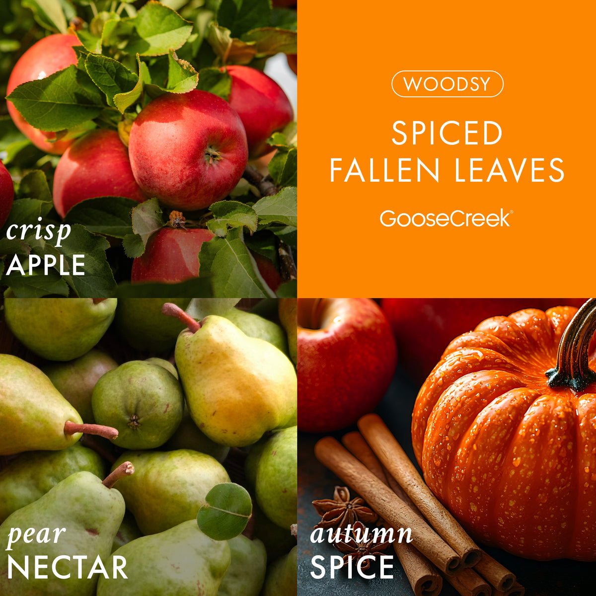 Spiced Fallen Leaves Wax Melt