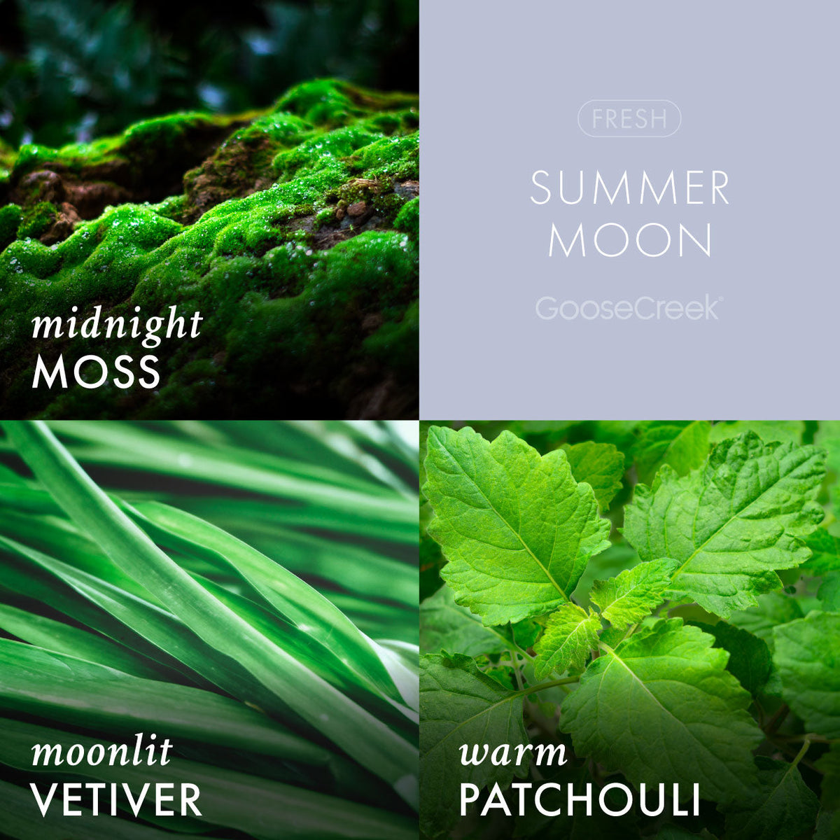 Summer Moon Plug-in Refill