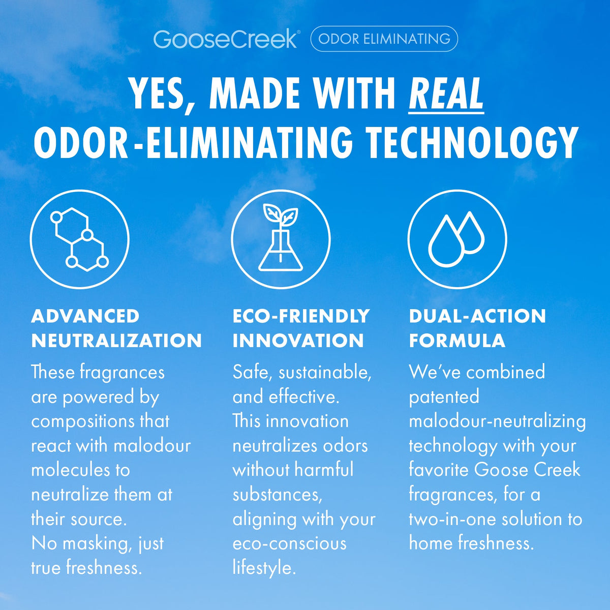 Watermelon Lemonade Odor Eliminating Wax Melt
