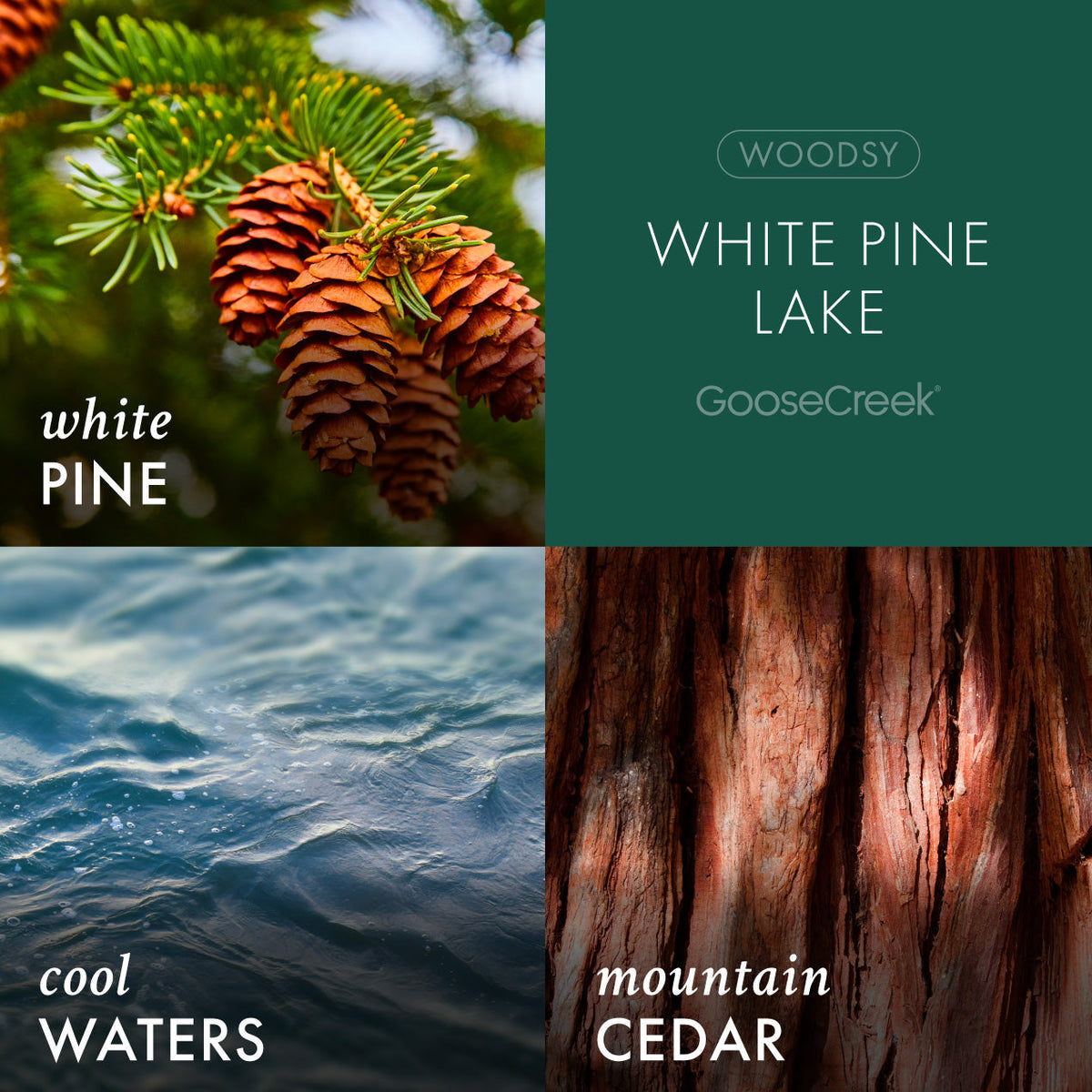 White Pine Lake Plug-in Refill