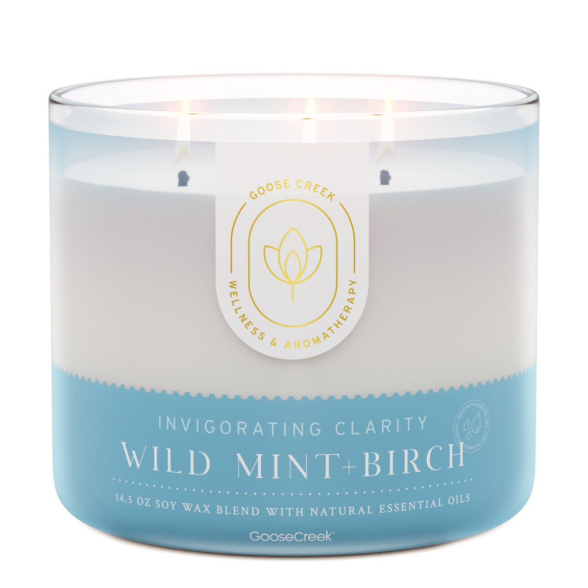 Wild Mint & Birch Aromatherapy 3-Wick Candle