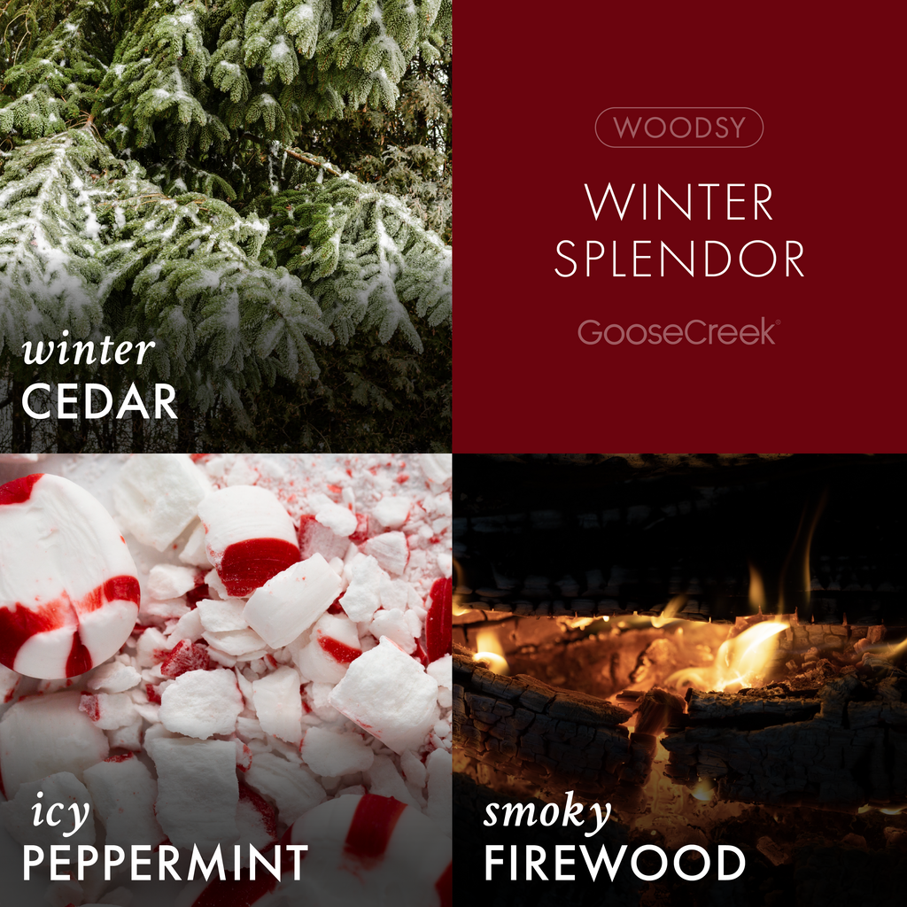 Winter Splendor 7oz Single Wick Candle